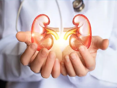 Kidney Transplant In UAE